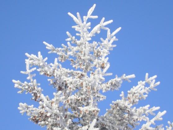 Vánoce lásky a konzumu, též obdarování a sblížení