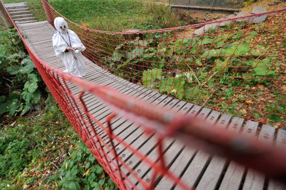 Ohlédnutí za Strašidelnou Alejkou