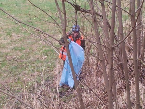 Skauti provedli ke Dni Země úklid lesa