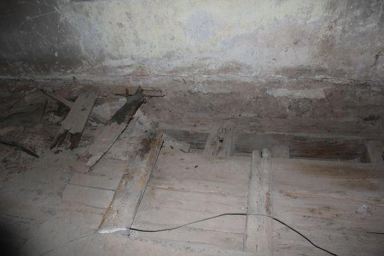 Seminář seznámí účastníky jak bojovat proti dřevokazným škůdcům 