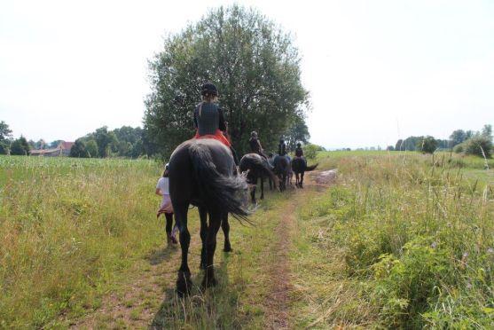 Jízdárna Hejtmánkovice je plně otevřená pro veřejnost