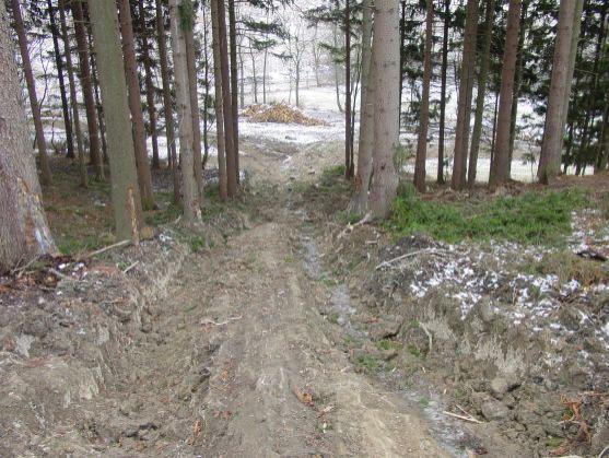 Česká inspekce životního prostředí uložila vysoké pokuty za nešetrnou lesní těžbu