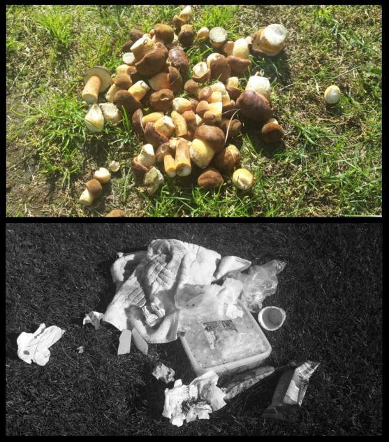 Smaženice a kupa bordelu 