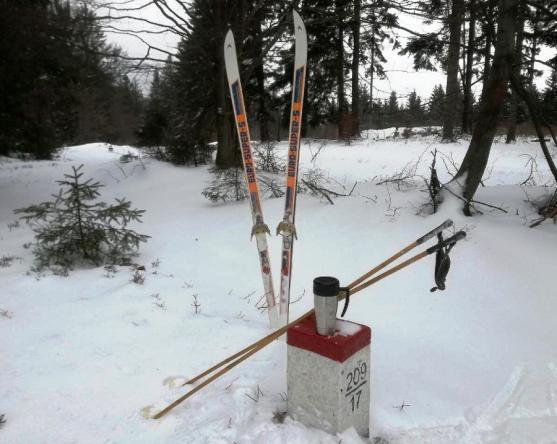 Kouká jako Koukalová?