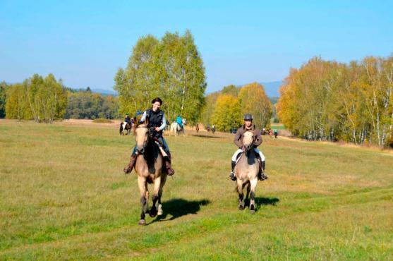 Hubertova jízda Jetřichov pomáhá 