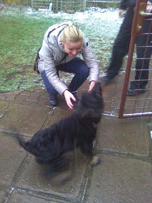 Při závodech psích spřežení se ztratil pes. Někdy podobné případy končí šťastně