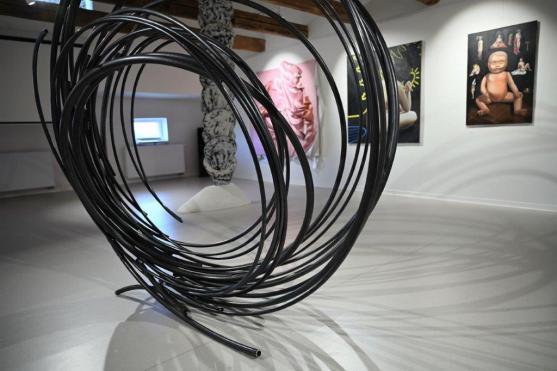 Sochařská linka festivalu Sculpture line zavítala do Broumova