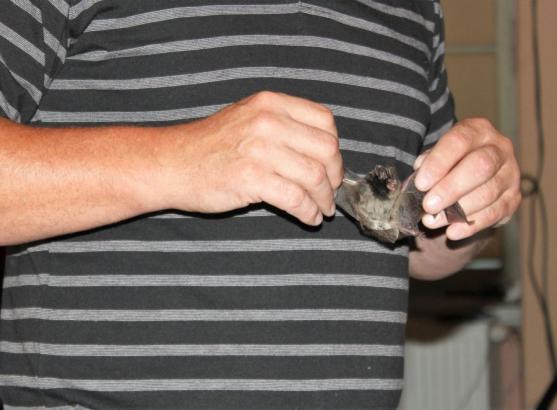 V broumovském klášteře opět odstartovaly vědecké přednášky ScienceCafé 