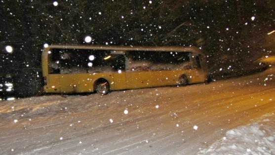 Před pádem do strže zachránilo autobus zábradlí a stromy