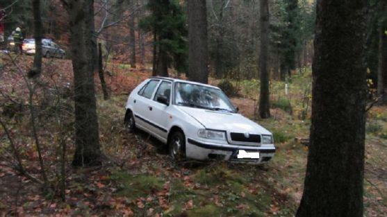 Řidička nezvládla řízení a sjela do lesa 