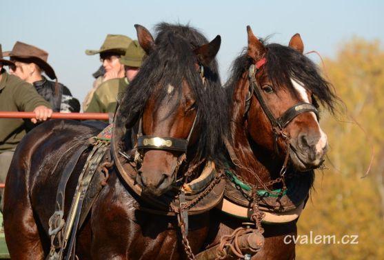 Na jetřichovskou Hubertovu jízdu vyjelo 67 koní