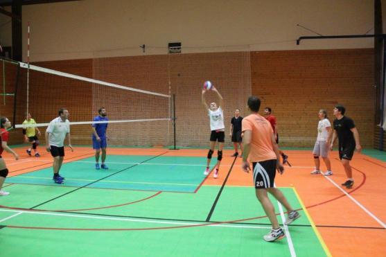 Volejbalisti mají stále co na práci