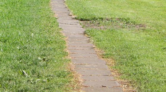 Zářez. Blog Dalibora Novotného 