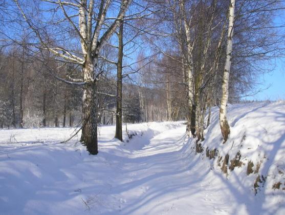 Vypadá to, že zima letos již skončila 