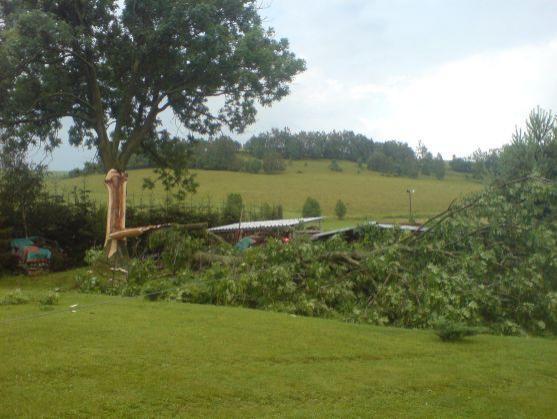 Blesk v Bohdašíně rozštípl vzrostlý strom