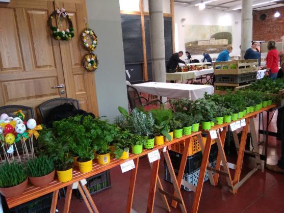 Květná jarmareční neděle v Meziměstí v Centru Walzel