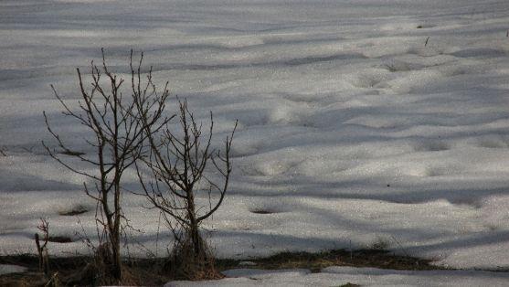 V Teplicích nad Metují své fotografie vystavuje Jindřich Blažek 