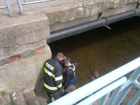 Hasiči vytáhli ze Stěnavy topícího se muže