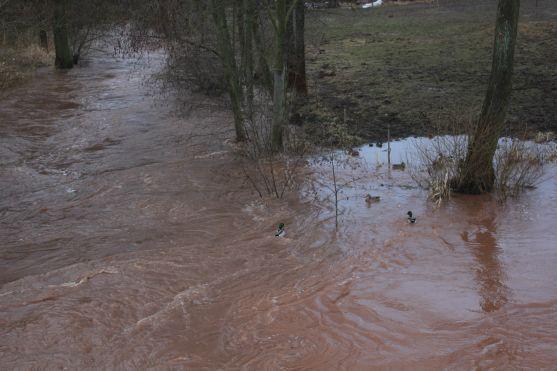 Na Stěnavě v Otovicích u Broumova byl vyhlášen stav ohrožení