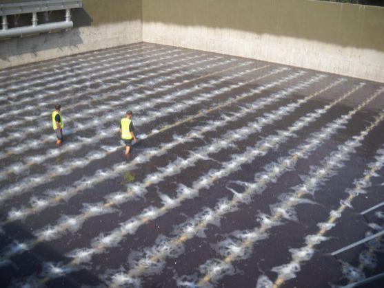 Čistírna odpadních vod v Broumově už je v plném provozu, i když ještě rok zkušebně