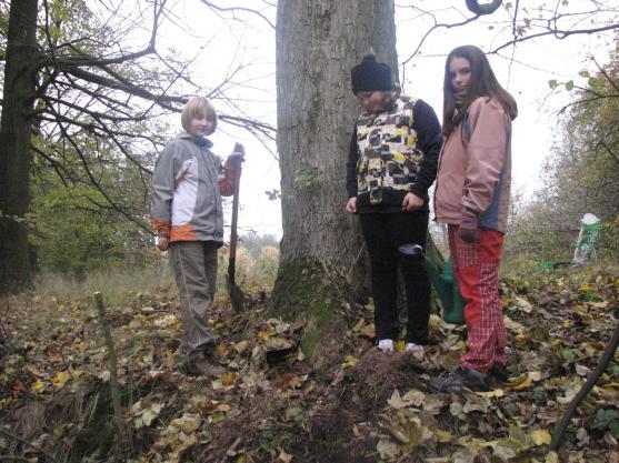 Broumovské sdružení Stromodění se přidalo k celorepublikovému happeningu v sázení stromů