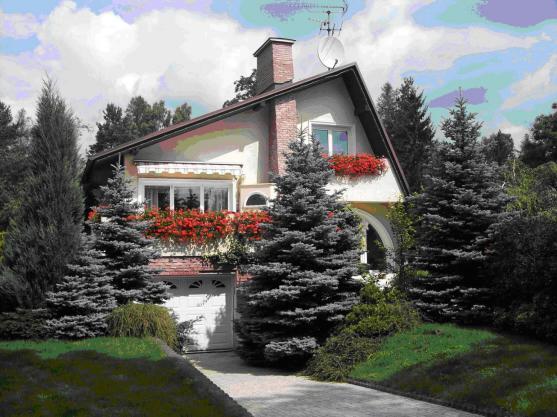 Absolutní vítězkou 1. ročníku soutěže Rozkvetlý Broumov se stala Jana Francová