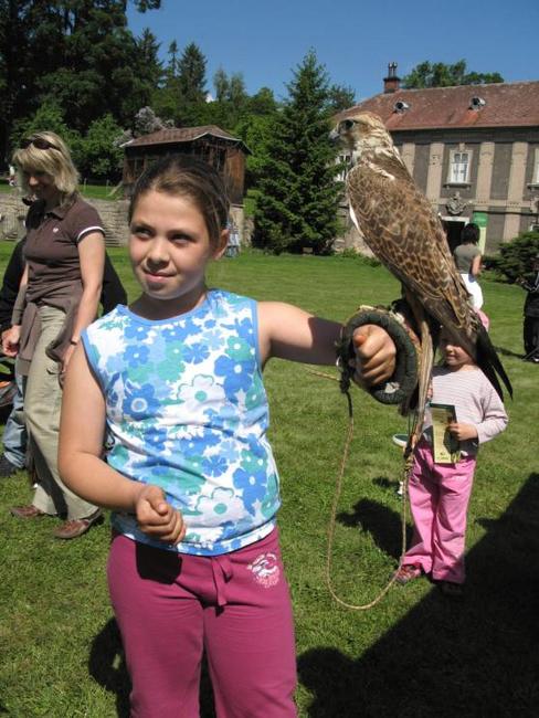 V sobotu 17. září v klášterní Zahradě* v Broumově - Podzimní dětský den s lesy ČR
