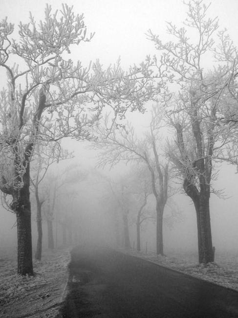 Polská poezie v překladu Věry Kopecké z Křinic u Broumova ve sbírce, kterou vydala opět vlastním nákladem 