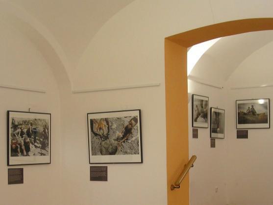 Dvě fotografické výstavy se společným podtextem v Polici nad Metují 