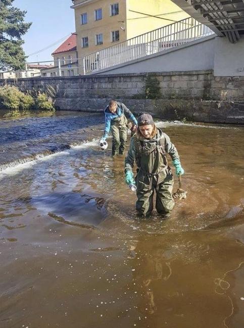 Každý uklidil čtvrt metráku