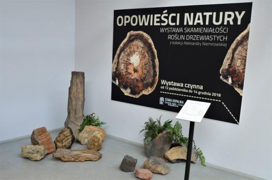 Výstava zkamenělých dřev AlekSandry Niemirowské