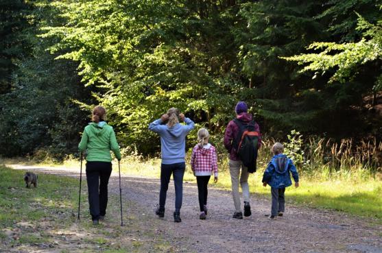Z Bělého skalami na Junáckou vyhlídku