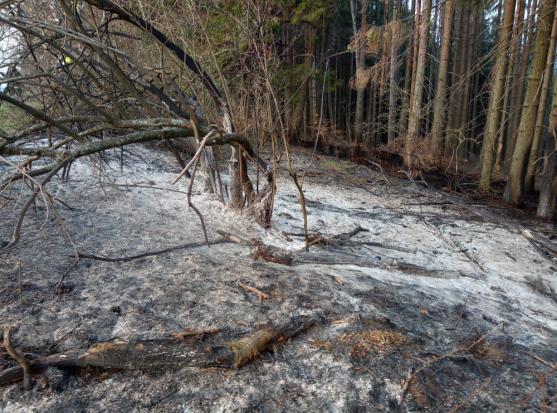 Pondělní zásahy hasičů na Broumovsku