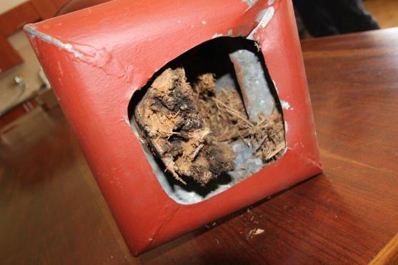 Tajemství makovice je odhaleno! Přesto zůstává pachuť, že zde nebylo všechno