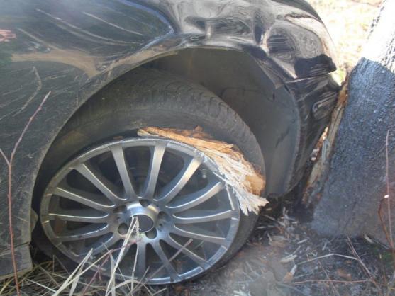 Snažil se ujet policii, ale skončil ve stromě. Po zadržení odmítl test na drogy