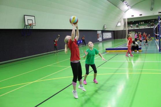 Lednové volejbalové akce