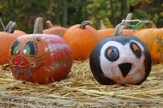 Když stojí dýně u zrodu uměleckého díla