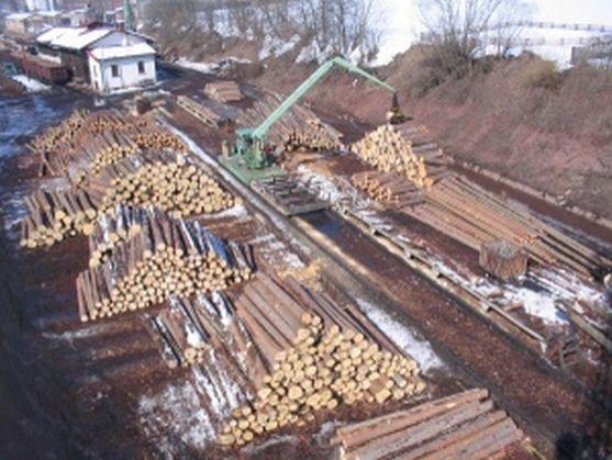 Broumovští lesníci si pochvalují spolupráci s Poláky 