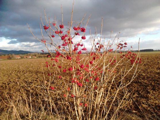 Byla vyhlášena fotosoutěž na téma Broumov mýma očima
