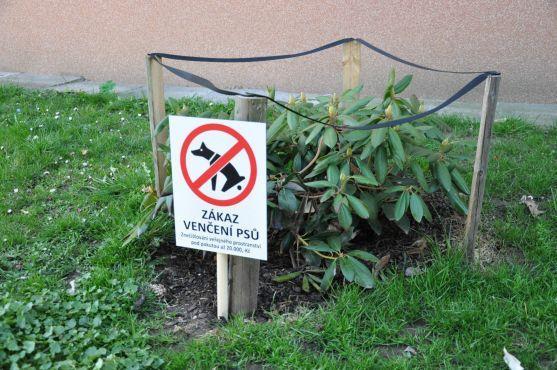 Bezohlednost pejskařů nezná mezí aneb tento problém se netýká jen Náchoda
