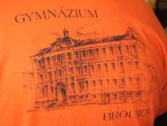 Doma není nikdo prorokem? Skvělé výsledky testování Scio studentů broumovského gymnázia