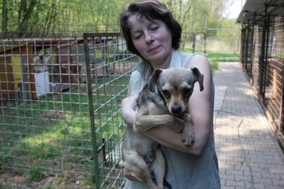 V broumovském psím útulku čeká na nové majitele dvanáct psů