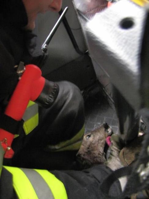 Silvestrovské ohlédnutí za zásahy hasičů v Královéhradeckém kraji v roce 2017