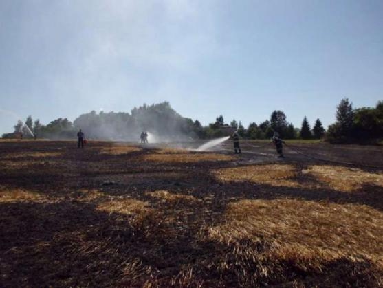Kvůli extrémnímu suchu nesmí lidé v přírodě rozdělávat táboráky