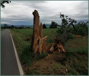 Jakou cenu mají lidské životy?