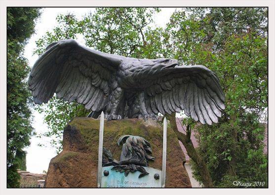 Ztracená orlice mohla skončit i na Broumovsku