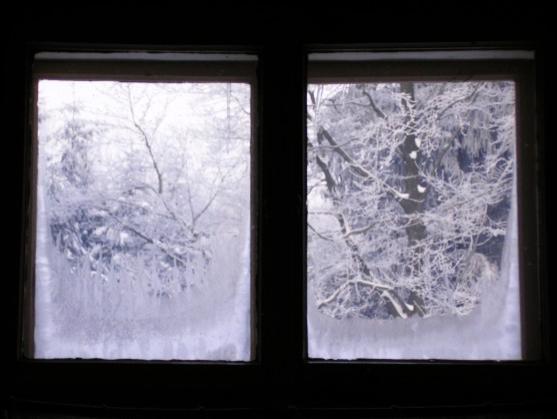 "Letos bude dobrý rok," říká pranostika