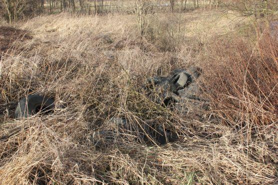 Také letos se bude uklízet Broumovsko