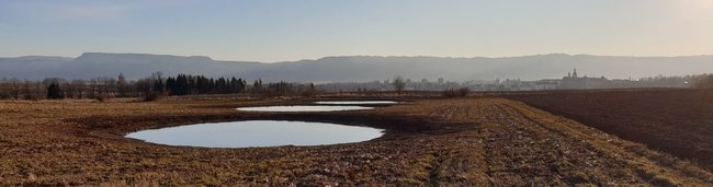 Spolek Julinka pro krajinu na Broumovsku