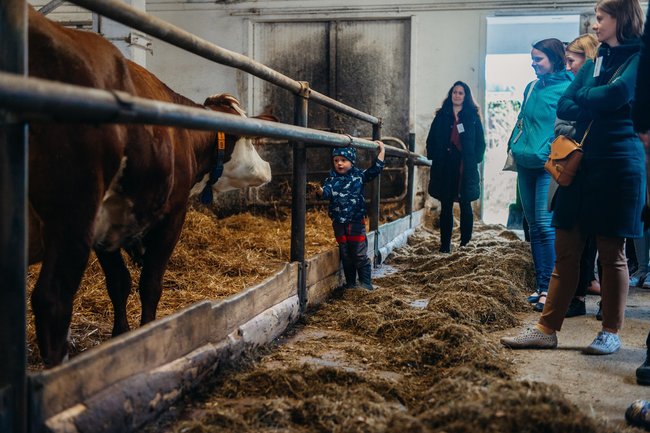 Vařit z lokálních surovin na Náchodsku je možné 